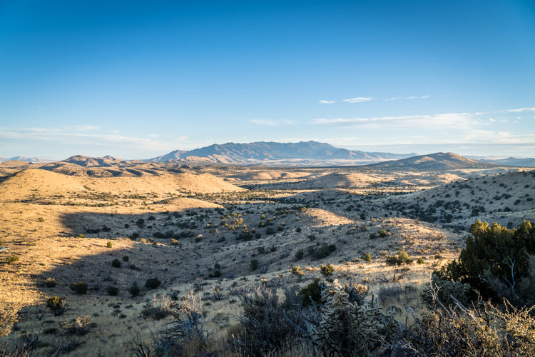 Applying for Big Game Licenses in New Mexico