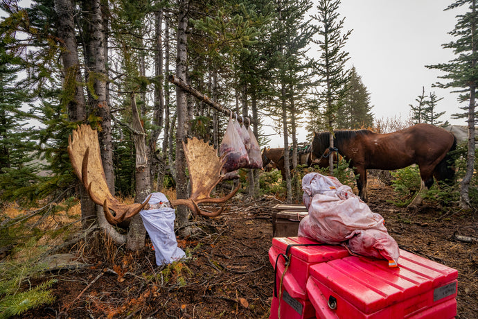 DIY Hunting Alaska