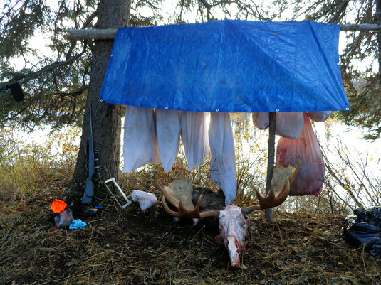 Magnum Pack Large - M.O.B. (Meat On Bone) for Moose and Buffalo