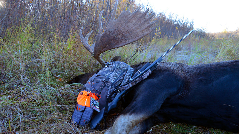 Load image into Gallery viewer, Magnum Pack Large - M.O.B. (Meat On Bone) for Moose and Buffalo
